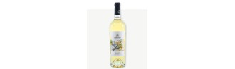 Matronae Abstracte Pinot Grigio IGP